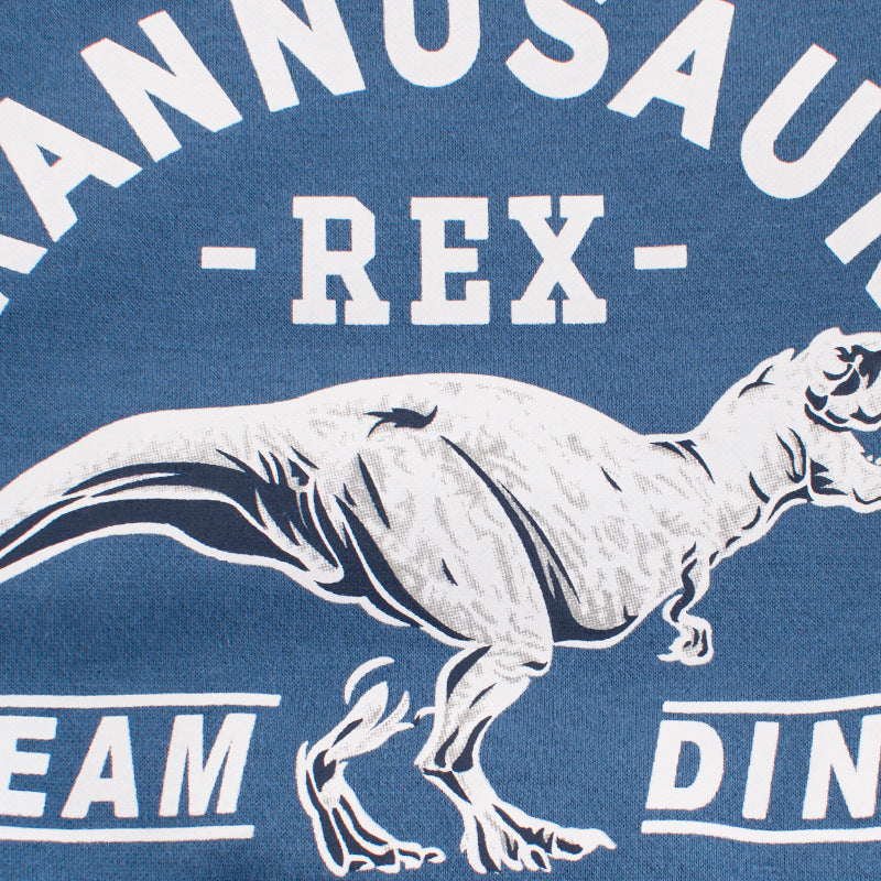 SUDADERA DINO REX